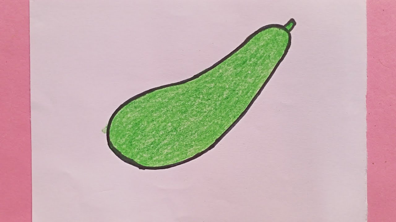 How to draw bottle gourd step by step Easy Bottle gourd drawing