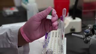 Medical Laboratory Technology Program at EPCC