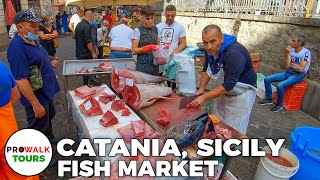 Catania, Sicily - Fish Market Tour