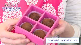 20210212OA_ちょこっトライ_さつまいもとレーズンのトリュフをつくろう！