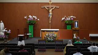 STM Livestream: 8AM Wednesday Mass