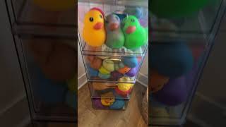 Guess how many squishies are in here❓❓#squishy #challenge #fidgets