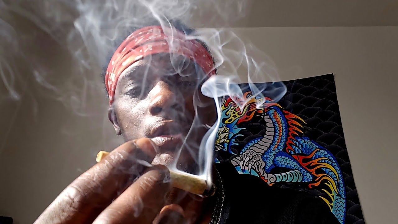 Apple Strudel & Gorilla Cookies Autoflower Smoke Test & Flavor Review! (Smoke Tent Conclusion)