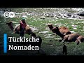 Die letzten Nomaden der Türkei | DW Reporter