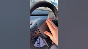 CUSTOM HORN ON A TESLA 