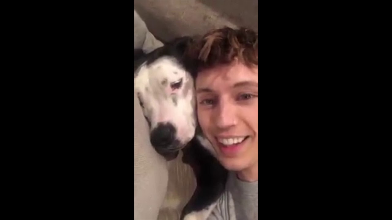 Nash Bixenvan moments! (troye, jacob, nash) camera iphone 8 plus apk