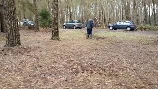 KNPV basics training, Tino Kleine Schaars and his Rockey