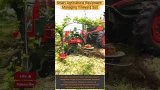Precision Weeding: Smart Sensors for a Modern Vineyard