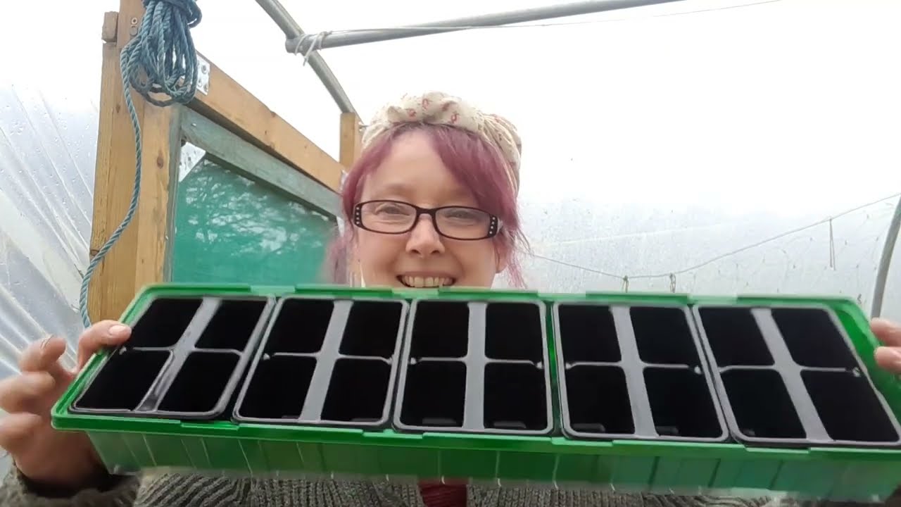 Stripe has a parcel & a catch up in the polytunnel (Wartime kitchen & garden) 