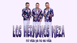 LOS HERMANOS MEZA - mi vida ya no es vida AUDIO OFICIAL✓(2020) chords