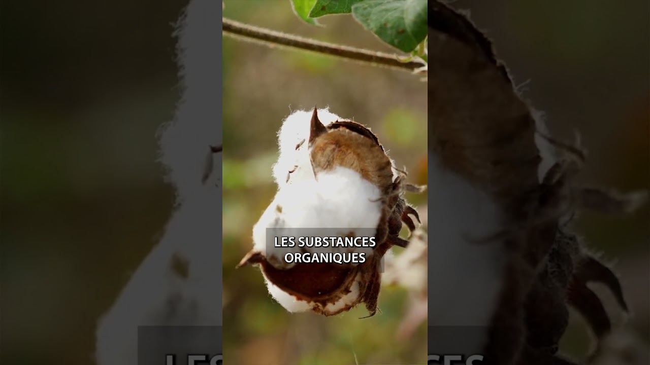 Une pratique simple pour changer votre aura.