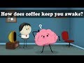 Caffeine - How does coffee keep you awake? | #aumsum #kids #science #education #children