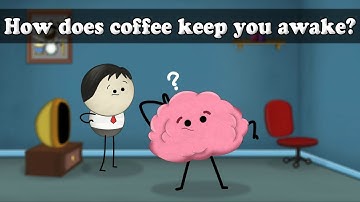 Caffeine - How does coffee keep you awake? | #aumsum #kids #science #education #children