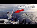 CANE POLE TUNA FISHING! Catch Clean and Cook! Islamorada Style