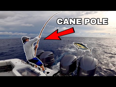 CANE POLE TUNA FISHING! Catch Clean and Cook! Islamorada Style