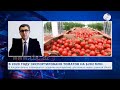 Цель к 2026 году довести экспорт томатов в страны Персидского залива и Европы до $50 млн
