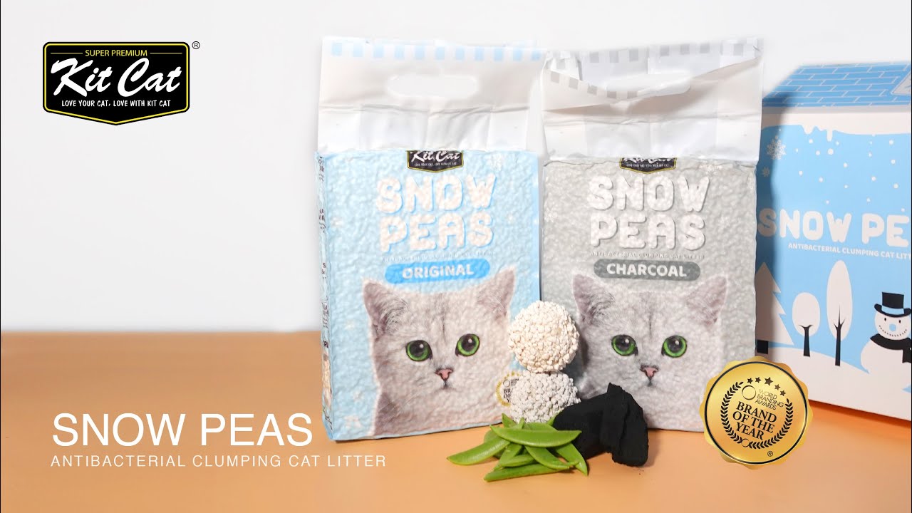 Kit Cat Soya Clump Litter Review informacionpublica.svet.gob.gt