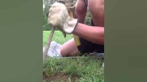 Coyote/fox trapping Flat Set