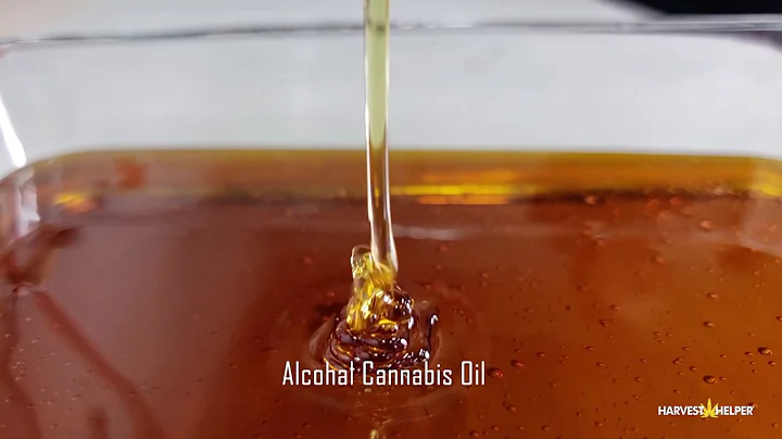 What's Rick Simpson Oil explained by Tom at Hitz C...