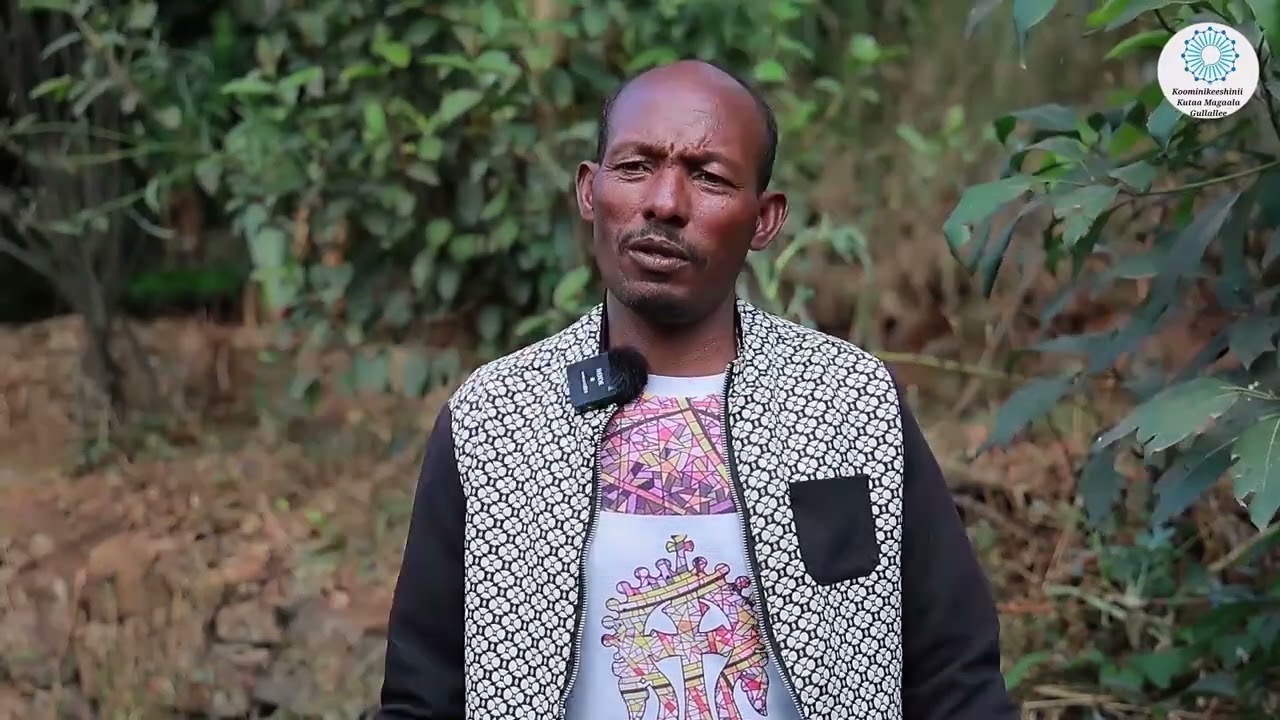 Waldaa Misooma Qonna Kutaa magaalaa Gullalleetti