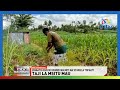 Zaidi Ya Wakulima 500 Kunufaika Na Mafunzo Ya Kilimo Cha Agroecology