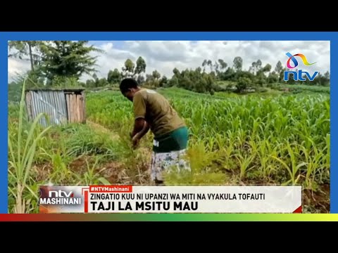 Zaidi Ya Wakulima 500 Kunufaika Na Mafunzo Ya Kilimo Cha Agroecology 
