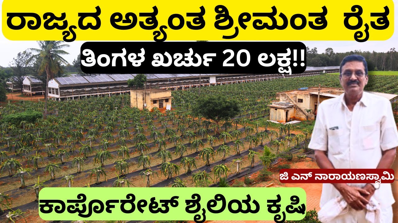 126 ಎಕರೆಯಲ್ಲಿ ಡ್ರ್ಯಾಗನ್ ಫ್ರೂಟ್ಸ್, ದಾಳಿಂಬೆ,ದ್ರಾಕ್ಷಿ, ಕೋಳಿ ಫಾರಂ ಹಾಲಿನ ಡೈರಿ ಇತ್ಯಾದಿ!!#Chikkaballapura