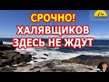 СРОЧНО! ХАЛЯВЩИКОВ ЗДЕСЬ НЕ ЖДУТ. [#1Australia]#4756