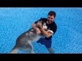 VIDEO: Husky Water Therapy Our Miracle Dog Cure!