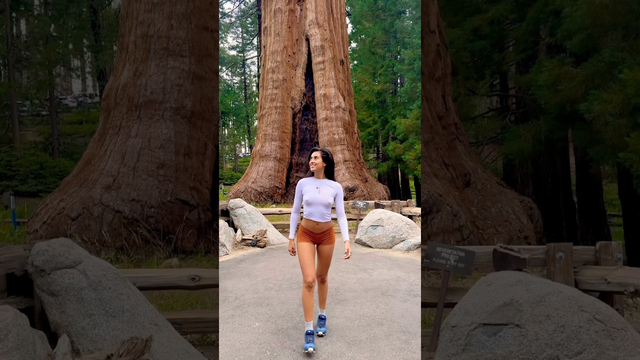 Sequoia National Park