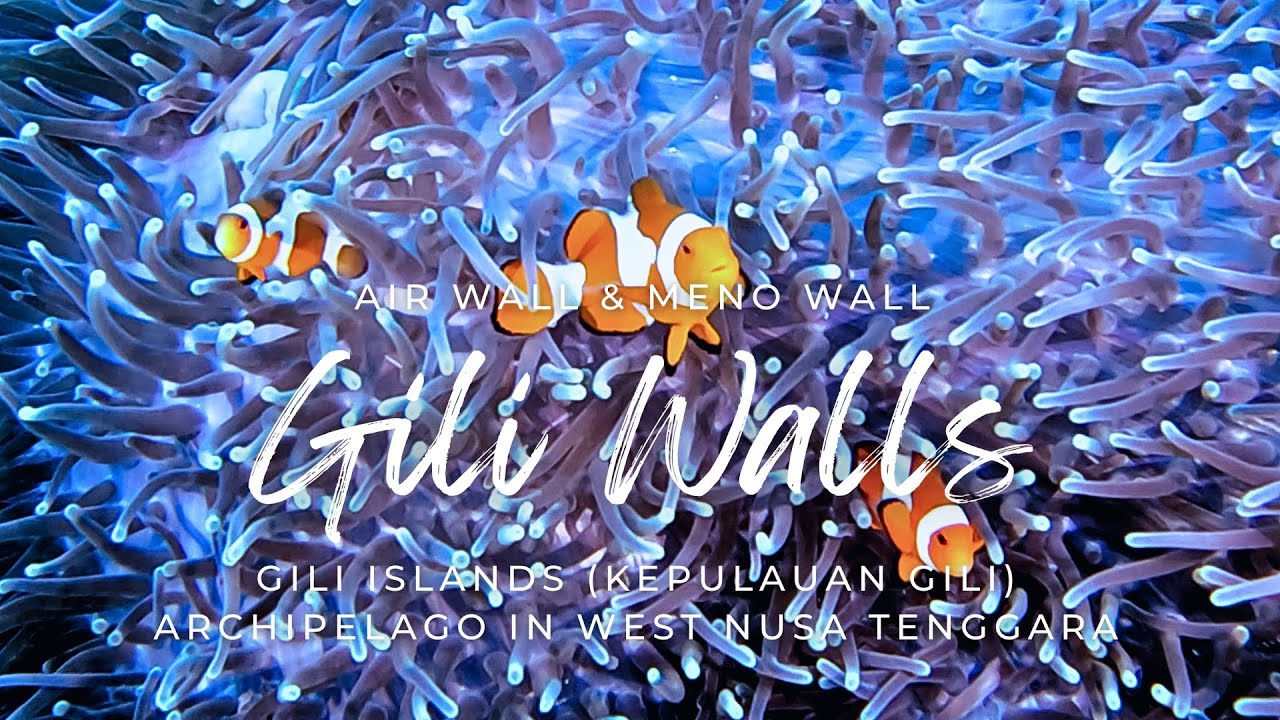 Vertical Adventures: Descending the Air & Meno Walls 