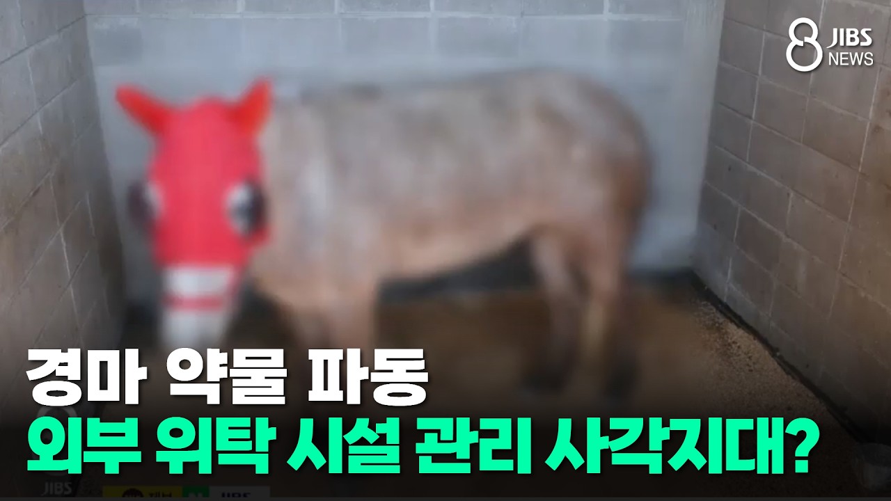 경마 약물 파동...외부 위탁 시설 관리 사각지대?/JIBS/제주/2026.03.23