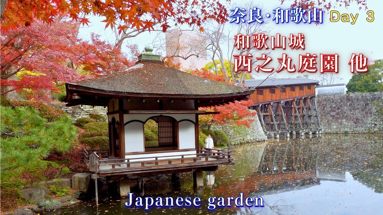 Осенняя поездка №3 [Великолепная осенняя листва: замок Вакаяма, сад Нисиномару и многое другое]