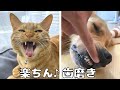 歯磨きが劇的に楽になる方法がこちら♪