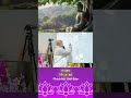 "Sai Sử" là gì mà khiến bạn luôn đau khổ | Thích Nữ Giới Bảo