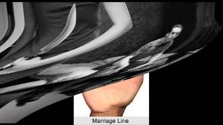 Different Forks In Marriage Line