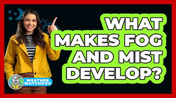 What Makes Fog And Mist Develop? - Weather Watchdog