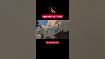 Expert #Bird Netting Installation | Protect Your Space with YPL Safety Nets