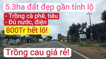 Bán đất trang trại, trồng cà phê, trồng cau cây ăn trái, bất động sản đất rẫy giá rẻ