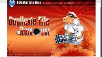 Избавляемся от дубликатов (Duplicate File Remover)