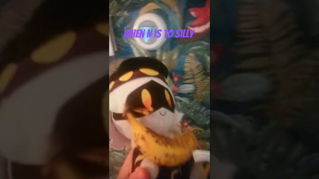 When N Is To Silly