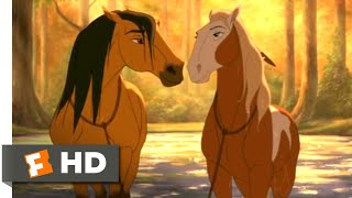Spirit: Stallion of the Cimarron  Horses in Love | Fandango Family
