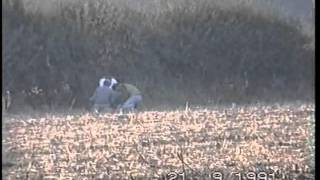 I took this film on Saturday September 21st 1991 when working under...