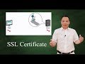 How SSL certificate works?