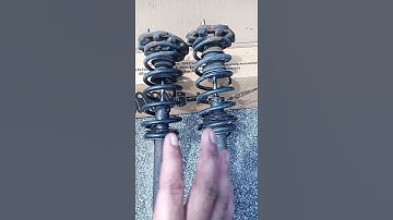 nissan máxima rear shocks