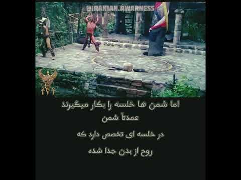 تخصص شمن ها در چیست