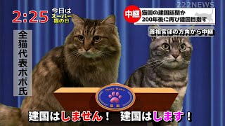 【猫ニュース】スーパー猫の日に猫が独立国家を建国へ