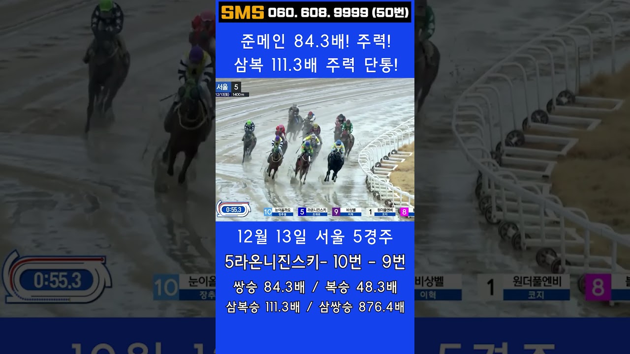 12/13(토)💣111.3배 주력단통(삼복승)! 84.3배 주력! 쌍.복.삼복 쇼돌이 믿어지십니까? 이런게 한구라입니다. 🐎 인기1위에 쫄지마!