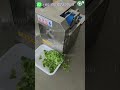Continuous Feed Greens Cutter for Leafy Vegetables Long Stems Segment Cutting and Cucumber Slicing