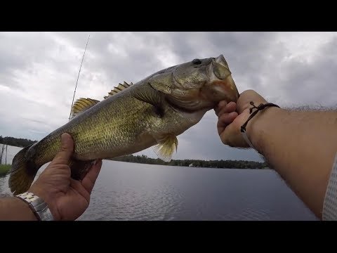 Animated Lure - SawGrassBassin teaser